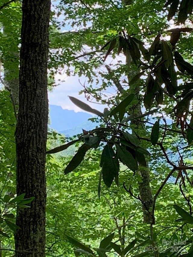 TBD Lucky Leaf Lane, Vilas, NC 28692