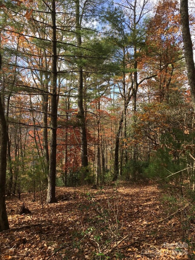 TBD Lucky Leaf Lane, Vilas, NC 28692