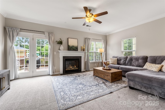 9651 Bailey Rd, Cornelius, NC 28031 - living area with carpet, ornamental molding, a ceiling fan, and a fireplace with flush hearth