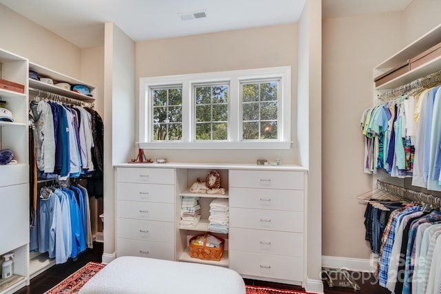 8070 Clems Branch Rd, Indian Land, SC 29707 - view of spacious closet