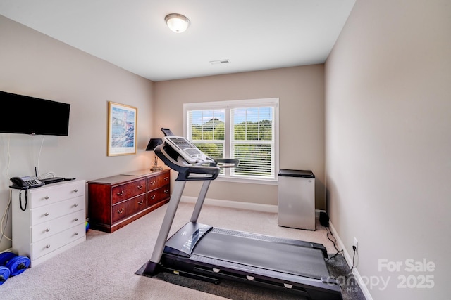 8070 Clems Branch Rd, Indian Land, SC 29707 - workout room with light carpet and baseboards