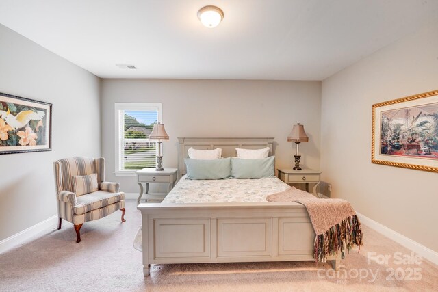 8070 Clems Branch Rd, Indian Land, SC 29707 - bedroom featuring light carpet and baseboards