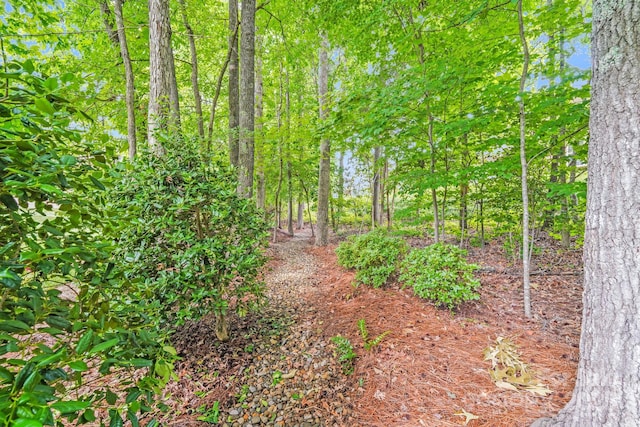 8070 Clems Branch Rd, Indian Land, SC 29707 - view of undeveloped land