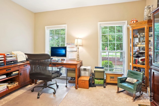 105 Prairie Rose Ct, Waxhaw, NC 28173 - office space featuring light carpet