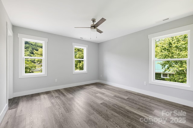 156 Mingus Hill Rd, Canton, NC 28716 - empty room with plenty of natural light, wood finished floors, a ceiling fan, and baseboards