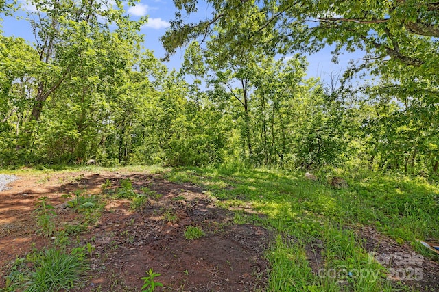 156 Mingus Hill Rd, Canton, NC 28716 - view of woods