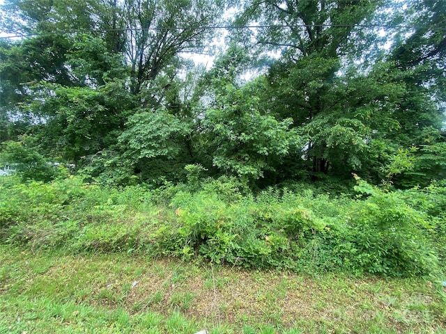 154 Pepper Town Rd, Forest City, NC 28043 - photo 1