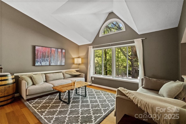 7018 Rollingridge Dr, Charlotte, NC 28211 - living room featuring wood finished floors and high vaulted ceiling