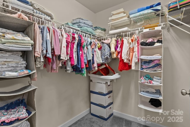 308 Planters Way, Mount Holly, NC 28120 - spacious closet with carpet floors