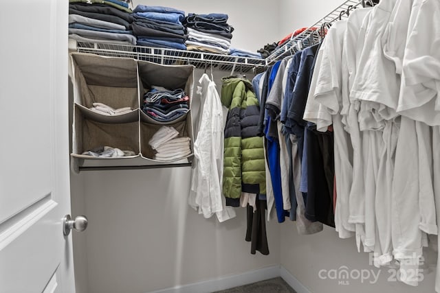 308 Planters Way, Mount Holly, NC 28120 - view of spacious closet