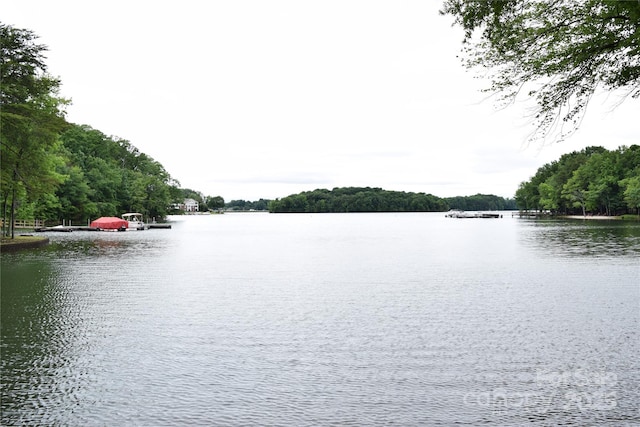 449 Windward Dr, Davidson, NC 28036 - water view with a forest