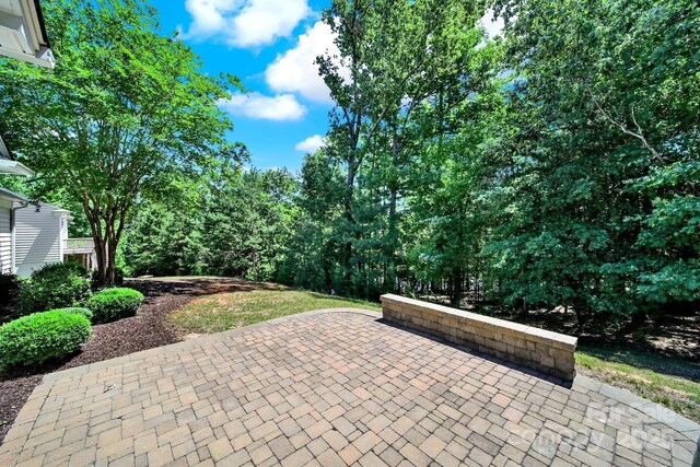 35115 Carnation Ln, Fort Mill, SC 29707 - photo 35
