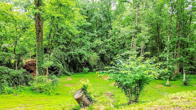 206 Logan Dr, Blacksburg, SC 29702 - view of yard with a wooded view