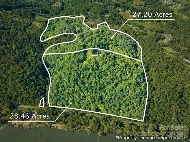 55 Dane Acres Dr, Alexander, NC 28701 - aerial view of property and surrounding area with property boundaries highlighted, a heavily wooded area, and a large body of water