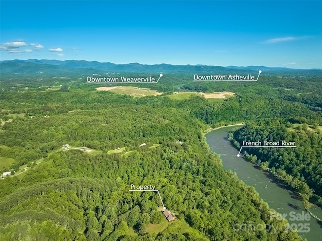 55 Dane Acres Dr, Alexander, NC 28701 - view of property location featuring a forest and a mountain backdrop