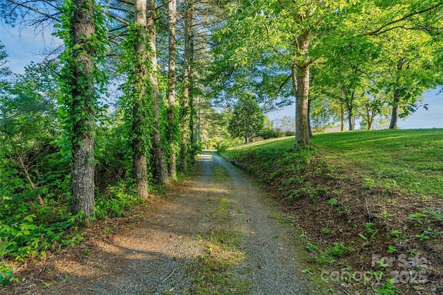 55 Dane Acres Dr, Alexander, NC 28701 - view of road