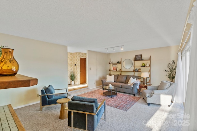 55 Dane Acres Dr, Alexander, NC 28701 - living room featuring carpet, baseboards, and a textured ceiling