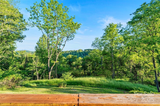 55 Dane Acres Dr, Alexander, NC 28701 - view of woods