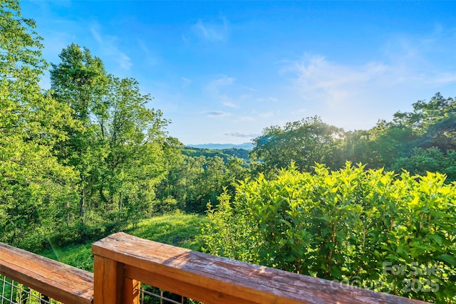 55 Dane Acres Dr, Alexander, NC 28701 - mountain view with a heavily wooded area
