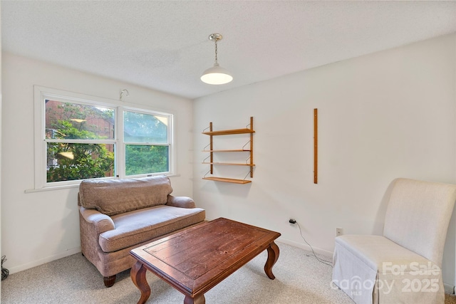 55 Dane Acres Dr, Alexander, NC 28701 - sitting room with carpet flooring and baseboards