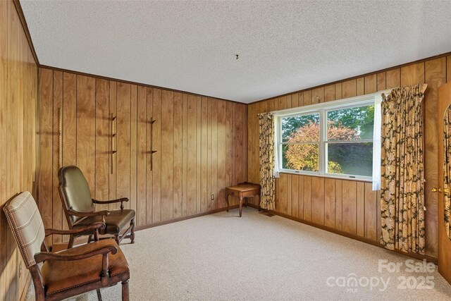 55 Dane Acres Dr, Alexander, NC 28701 - unfurnished room featuring a textured ceiling, wood walls, baseboards, and carpet