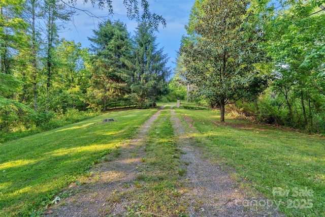 55 Dane Acres Dr, Alexander, NC 28701 - view of street