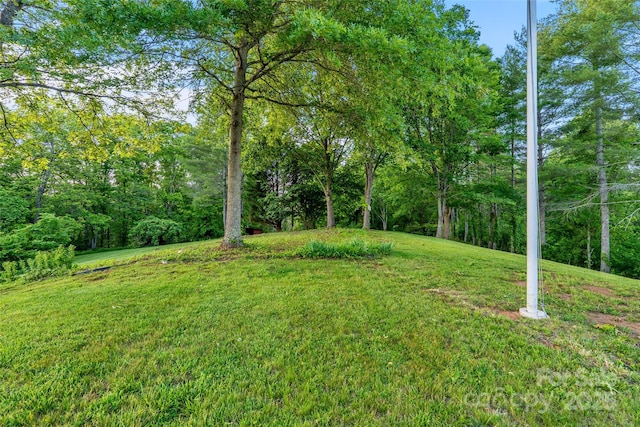 55 Dane Acres Dr, Alexander, NC 28701 - view of grassy yard with a view of trees
