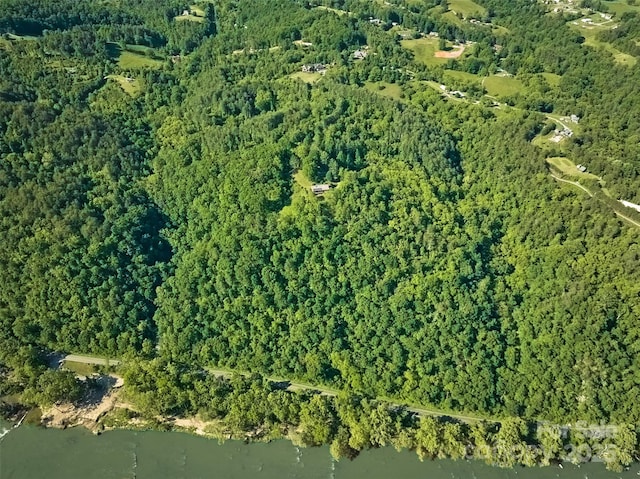 55 Dane Acres Dr, Alexander, NC 28701 - aerial view of property's location featuring a forest