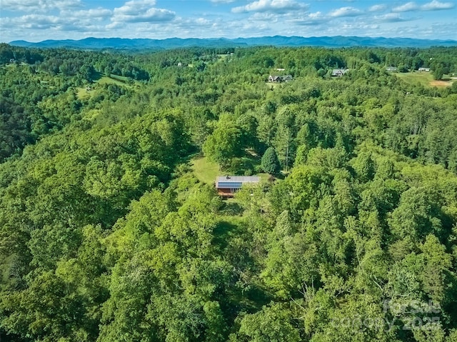 55 Dane Acres Dr, Alexander, NC 28701 - aerial view of a forest and mountains