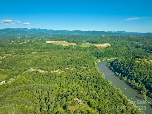 55 Dane Acres Dr, Alexander, NC 28701 - view of property location featuring a forest and a mountainous background