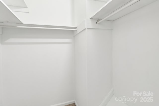8510 Castle Pine Ct, Charlotte, NC 28226 - view of walk in closet