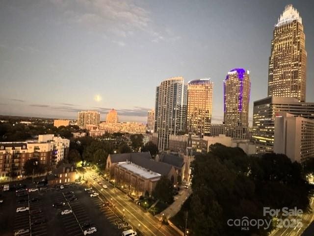 333 W Trade St Unit 1304, Charlotte, NC 28202 - view of city skyline