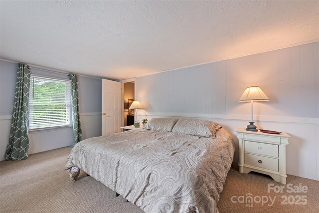 48 Medford Ave, Waynesville, NC 28786 - bedroom featuring carpet floors and a textured ceiling