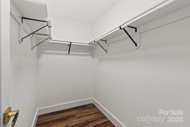 3124 Pikes Peak Dr, Gastonia, NC 28052 - walk in closet with dark wood-style floors