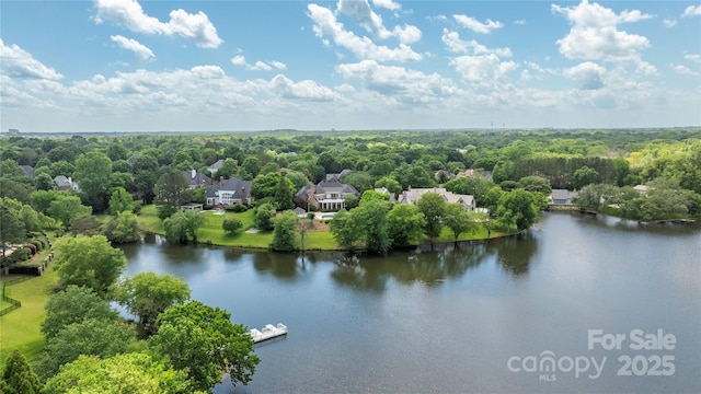 8721 Lake Challis Ln, Charlotte, NC 28226 - aerial view of a nearby body of water and a forest