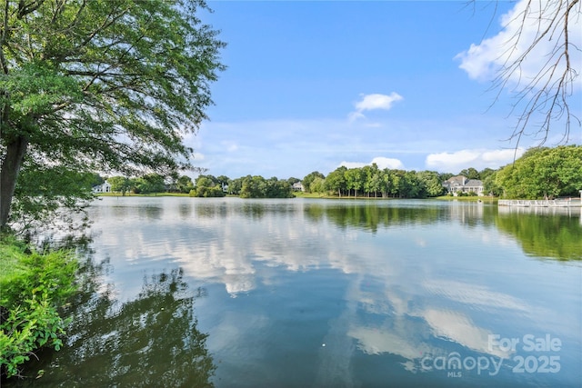 8721 Lake Challis Ln, Charlotte, NC 28226 - water view