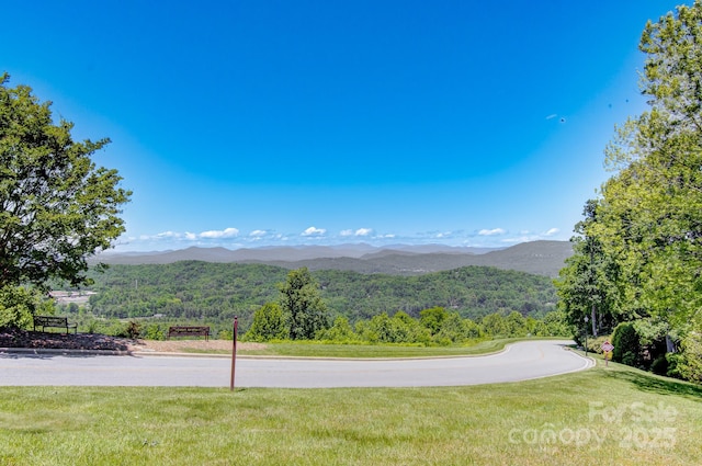 305 E High Point Ln, Hendersonville, NC 28791 - mountain view featuring a heavily wooded area