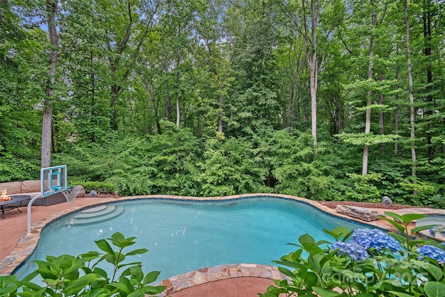 117 Walking Horse Trl, Davidson, NC 28036 - outdoor pool with a patio and a wooded view