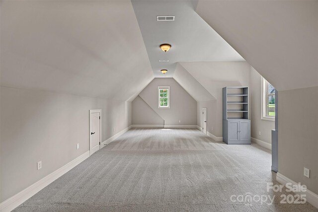 117 Walking Horse Trl, Davidson, NC 28036 - bonus room featuring light colored carpet and lofted ceiling