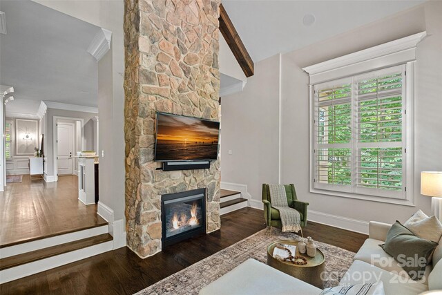 117 Walking Horse Trl, Davidson, NC 28036 - living room featuring a stone fireplace, crown molding, and wood finished floors
