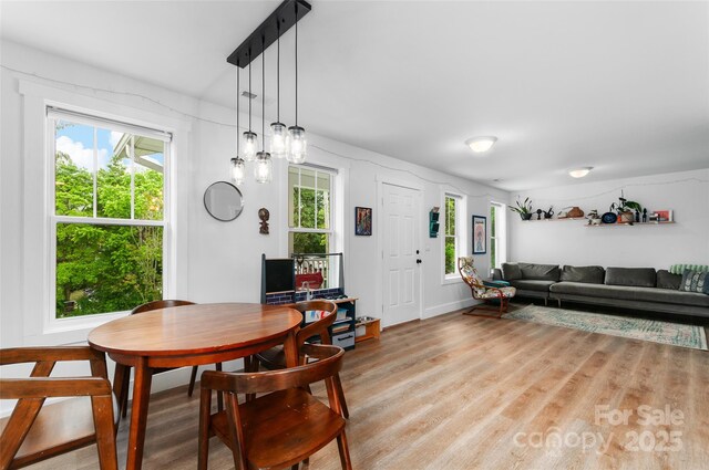 250 Virginia Ave, Asheville, NC 28806 - photo 10