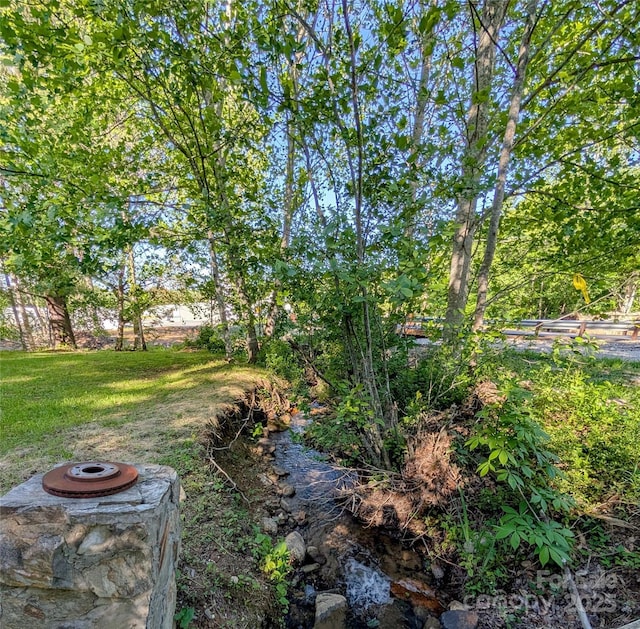 536 Hickory Springs Rd, Burnsville, NC 28714 - photo 8