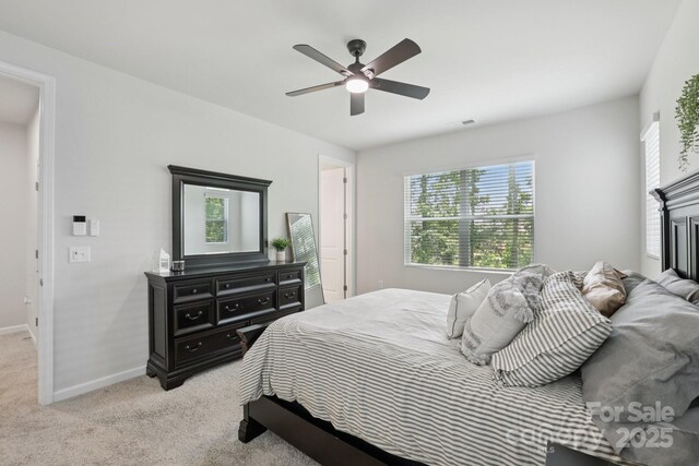 5324 Somerset Hill Ln, Charlotte, NC 28269 - photo 22