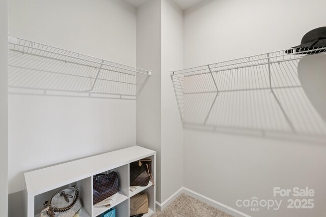 5324 Somerset Hill Ln, Charlotte, NC 28269 - photo 23