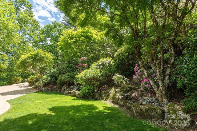 201 Kawani Ln, Brevard, NC 28712 - view of grassy yard
