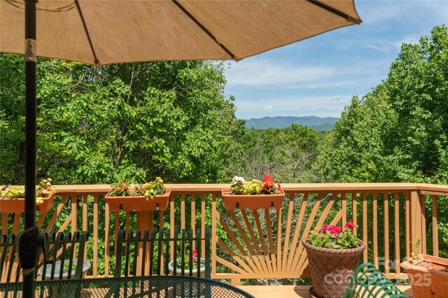 201 Kawani Ln, Brevard, NC 28712 - view of deck