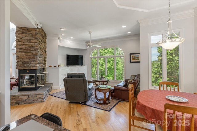 201 Kawani Ln, Brevard, NC 28712 - living area with a stone fireplace, ceiling fan, light wood finished floors, and crown molding