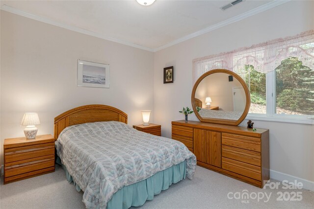 201 Kawani Ln, Brevard, NC 28712 - bedroom featuring light carpet, ornamental molding, and baseboards