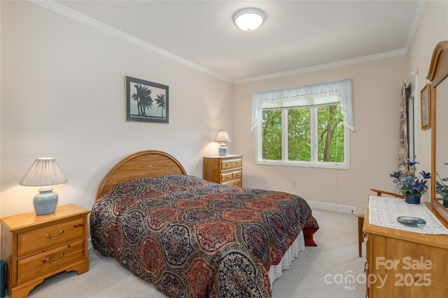 201 Kawani Ln, Brevard, NC 28712 - bedroom featuring light carpet, crown molding, and baseboards