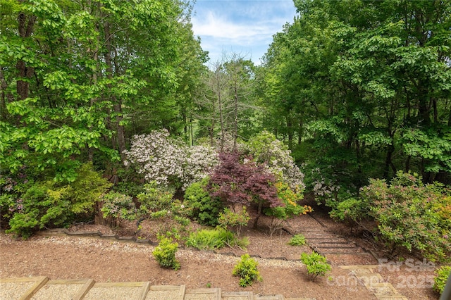 201 Kawani Ln, Brevard, NC 28712 - view of yard